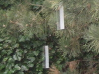 06, glaskunst, grapje, fun