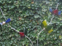 19, glasbloemen groot